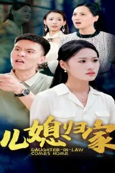 《儿媳归家》封面