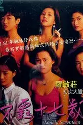 《靓妹系列之不羁十七岁》封面