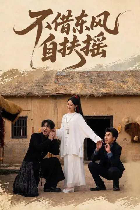 《不借东风自扶摇》封面