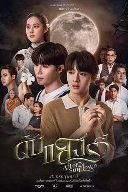 《熄灭的日光》封面