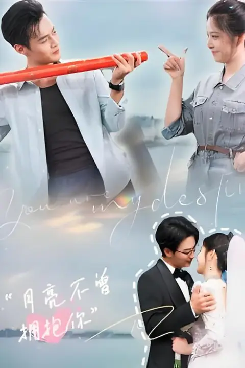 《月亮不曾拥抱你》封面