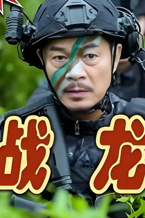 《战龙》封面