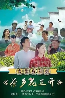 《茶乡花正开》封面