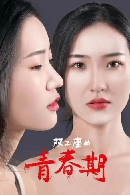 《双子座的青春期》封面