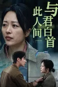 《与君白首此人间》封面