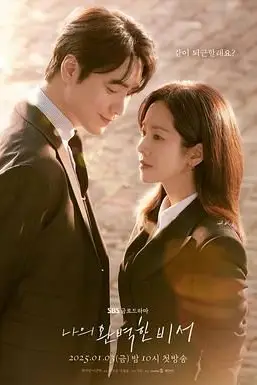 《我的完美秘书》封面