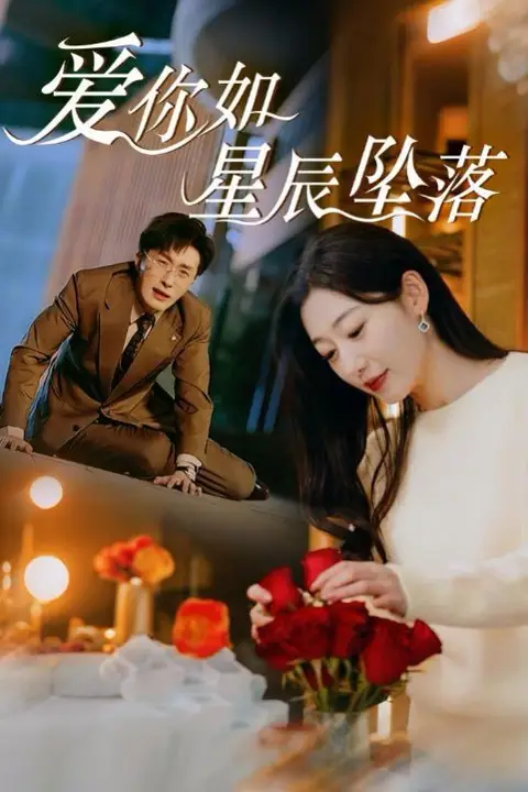 《爱你如星辰坠落》封面