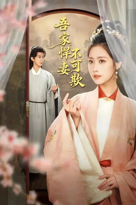 《吾家悍妻不可欺》封面