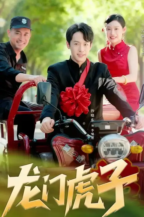 《龙门虎子》封面