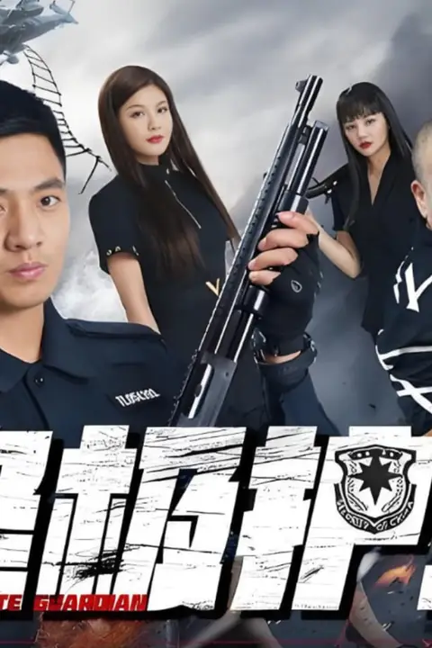 《终极护卫》封面