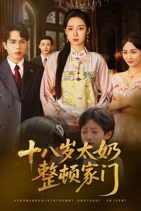 《十八岁太奶整顿家门》封面