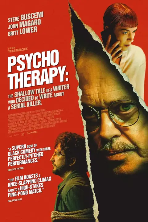 《一个决定写连环杀手的作家的浅薄故事》封面