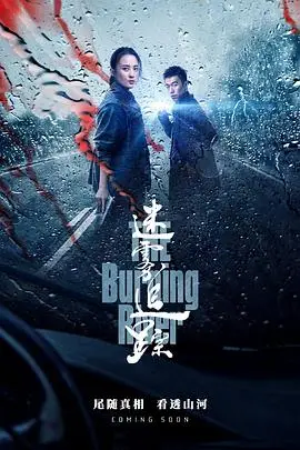 《迷雾追踪》封面