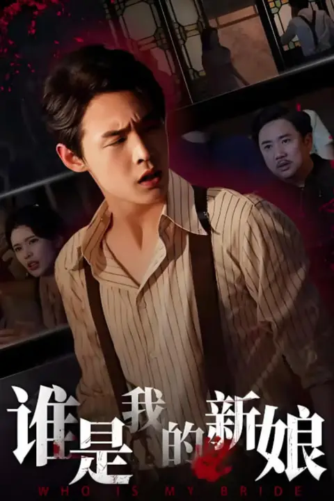 《谁是我的新娘》封面