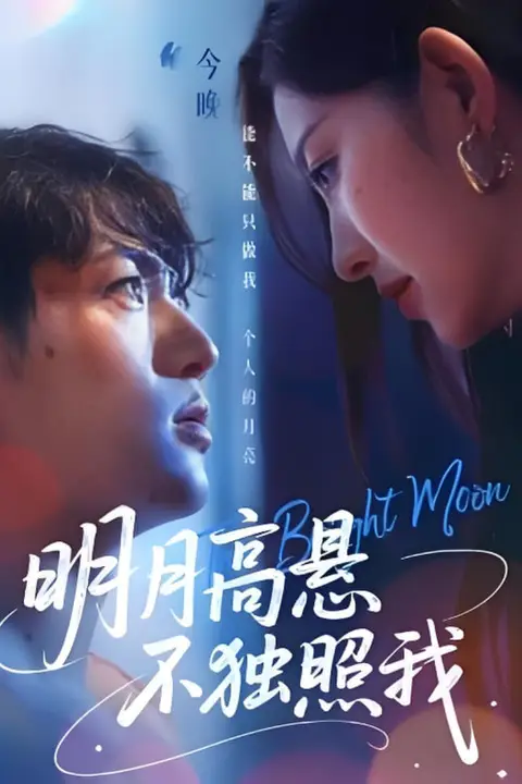 《明月高悬不独照我》封面