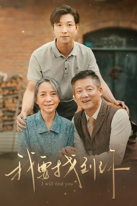《我要找到你(白首不分离)》封面