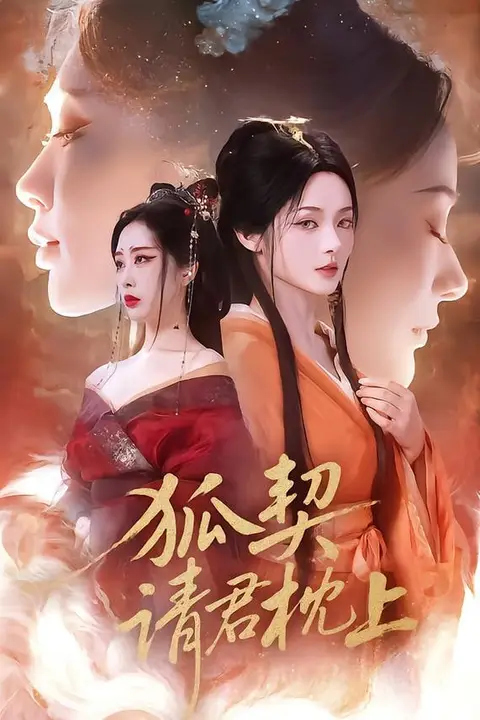《狐契:请君枕上》封面