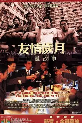 《友情岁月山鸡故事》封面