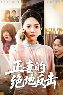 《正妻的绝地反击》封面