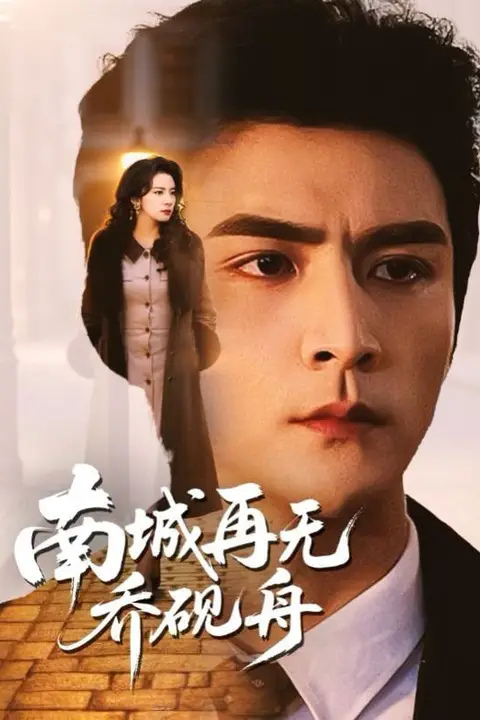 《南城再无乔砚舟》封面
