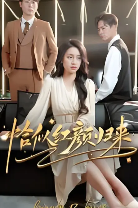 《恰似红颜归来》封面