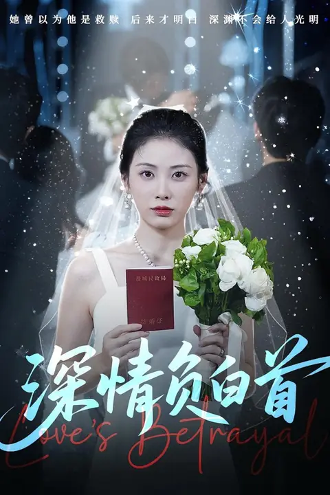 《深情负白首》封面