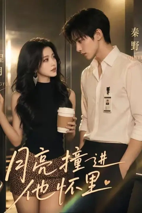 《月亮撞进他怀里》封面