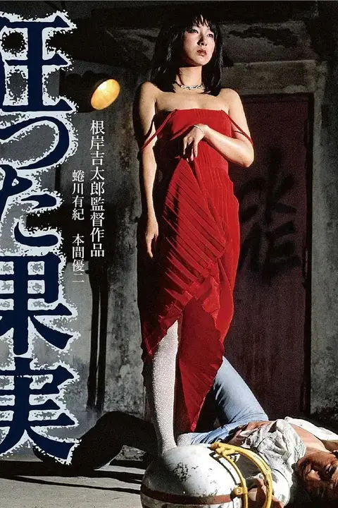 《疯狂的果实 1981》封面