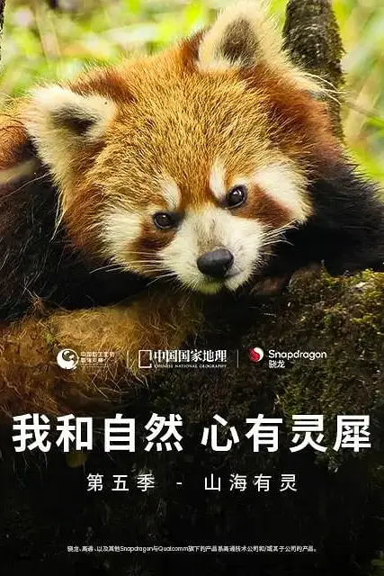 《我和自然 心有灵犀 第五季》封面