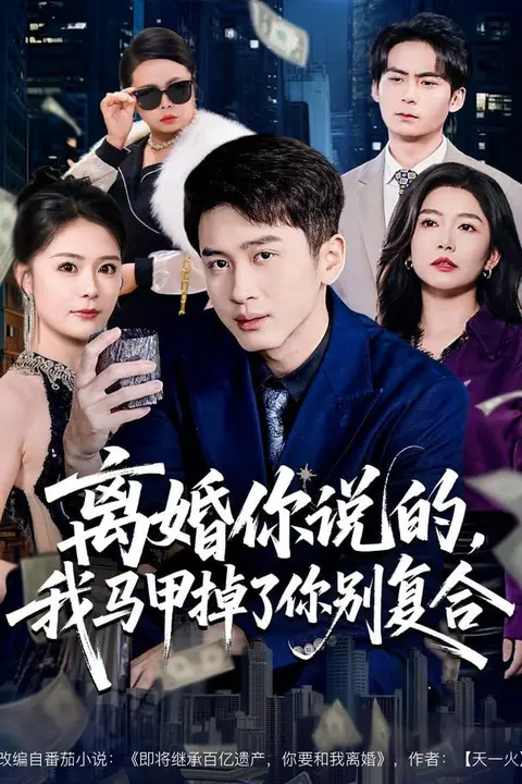 《离婚你说的，我马甲掉了你别复合》封面
