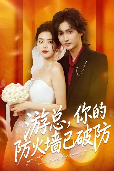 《游总，你的防火墙已破防》封面
