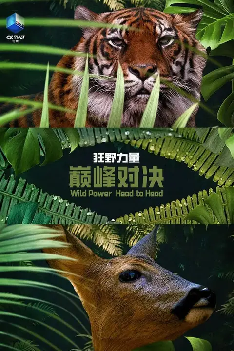 《狂野的力量：巅峰对决 第一季》封面