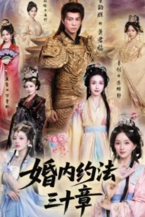 《婚内约法三十章》封面