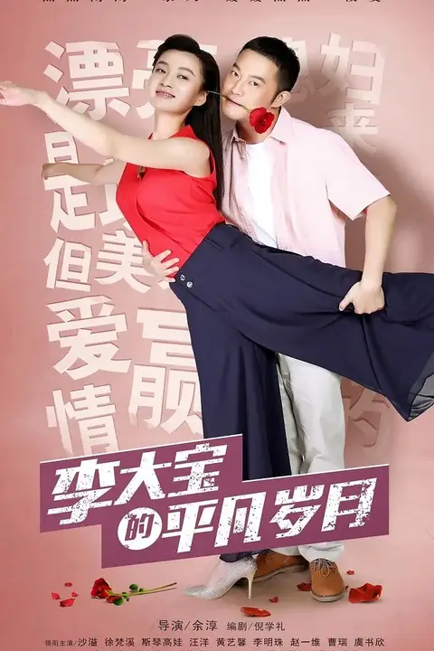 《平凡岁月》封面