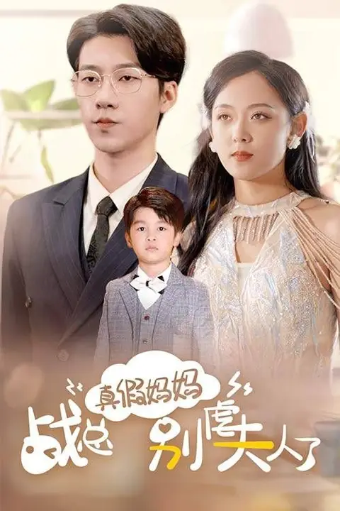 《真假妈妈战总别虐夫人了》封面