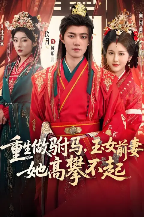 《重生做驸马,玉女前妻她高攀不起》封面