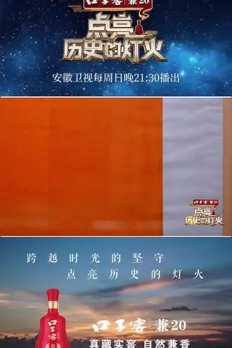 《点亮历史的灯火》封面