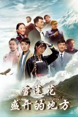 《雪莲花盛开的地方》封面