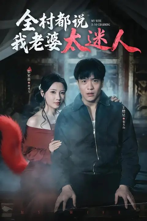 《全村都说我老婆太迷人》封面