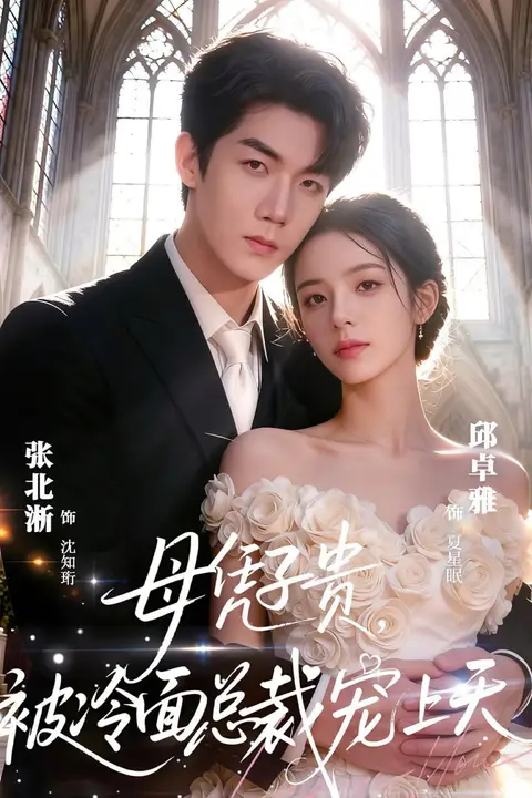 《母凭子贵，被冷面总裁宠上天》封面