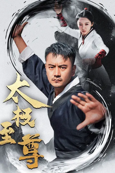 《太极至尊》封面