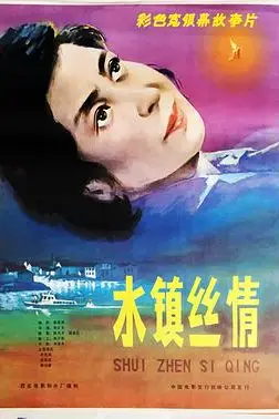 《水镇丝情》封面