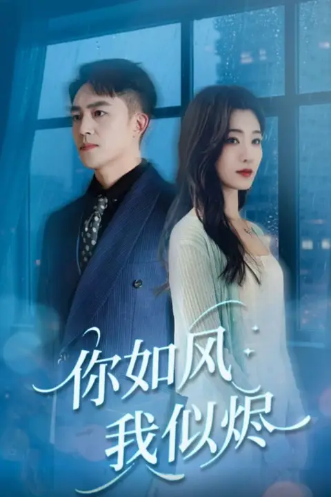 《你如风我似烬》封面