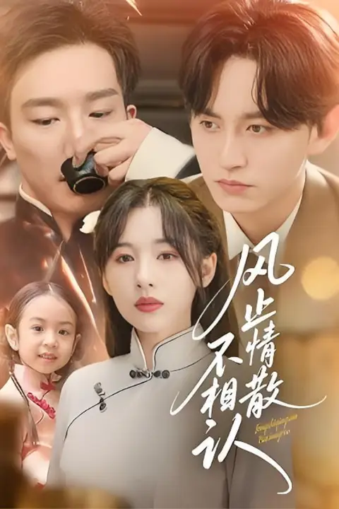 《风止情散不相认》封面