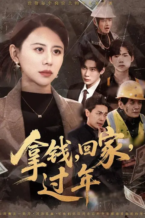 《拿钱，回家，过年(拿钱回家过年)》封面