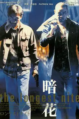 《暗花》封面