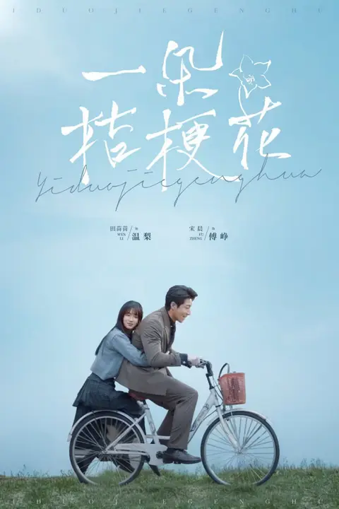 《一朵桔梗花》封面