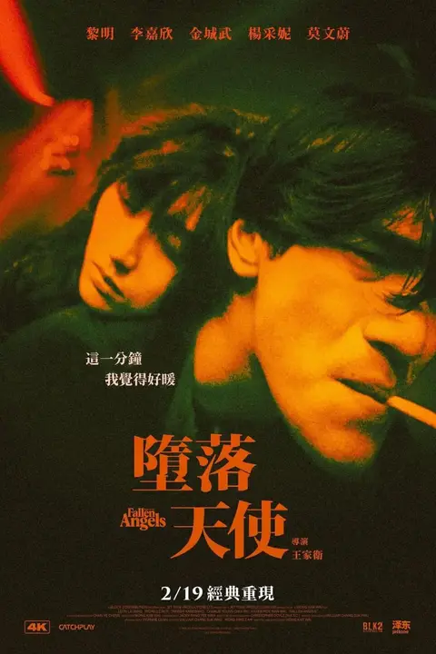 《堕落天使 粤语版 1995》封面