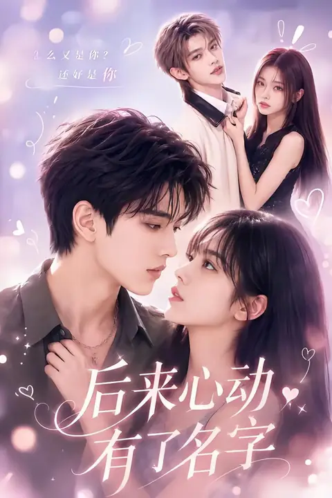 《后来心动有了名字》封面