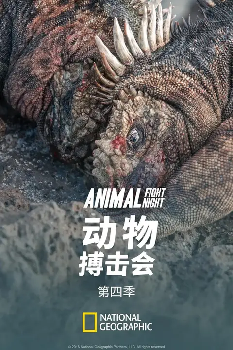 《动物搏击会 第四季》封面
